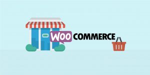 Read more about the article How to enable WooCommerce Lightbox support in the theme